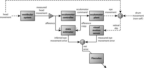 Figure 10.