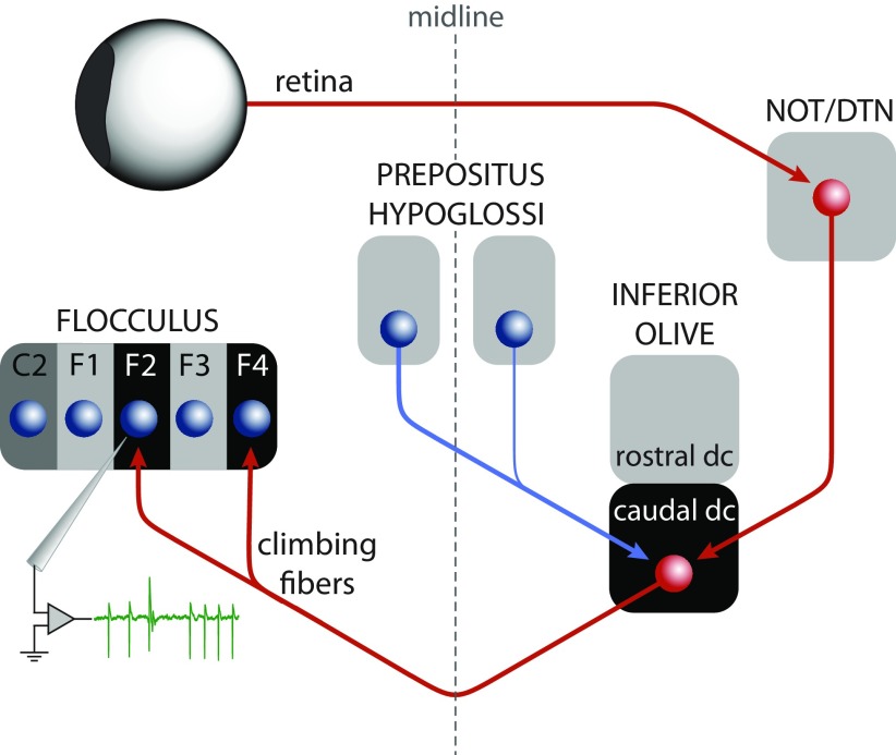 Figure 9.