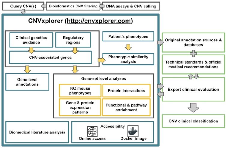 Graphical Abstract