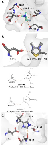 FIGURE 4.