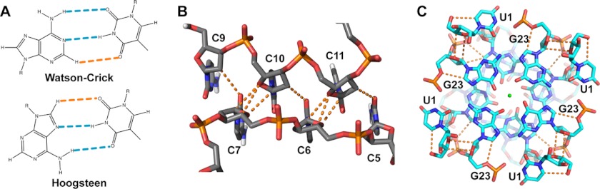 FIGURE 3.