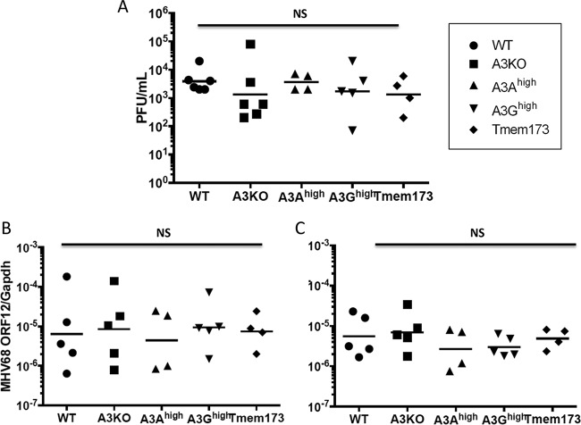 FIG 3