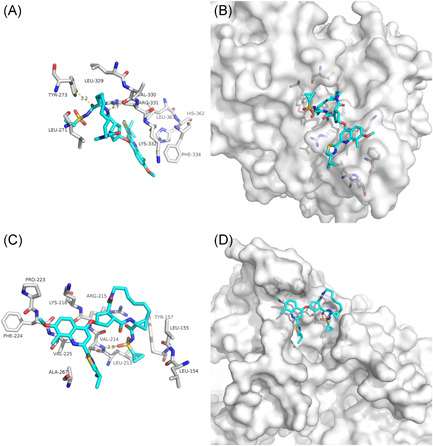 Figure 6