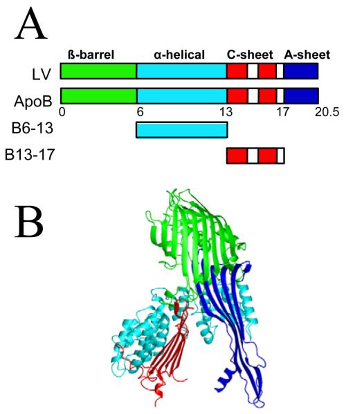 Fig. 1