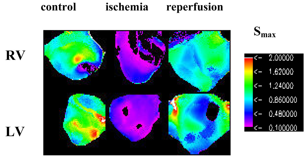 Fig.4