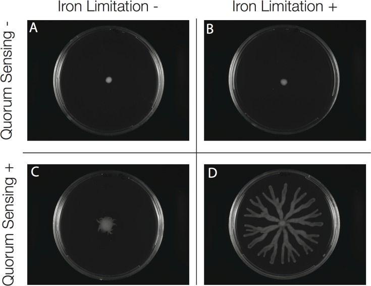 Fig 6