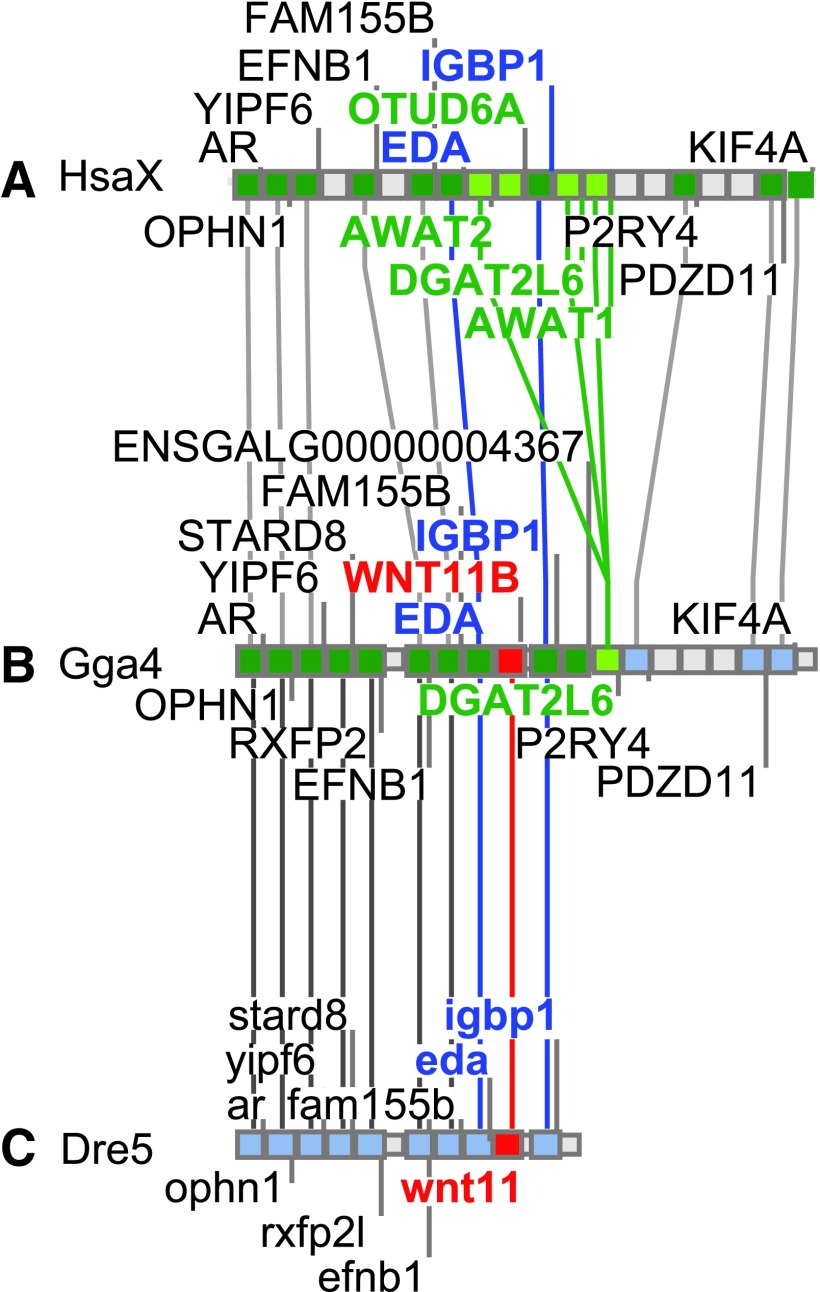 FIG. 3.