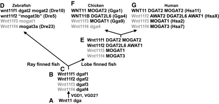 FIG. 5.