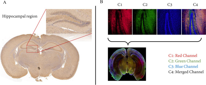 Fig. 8