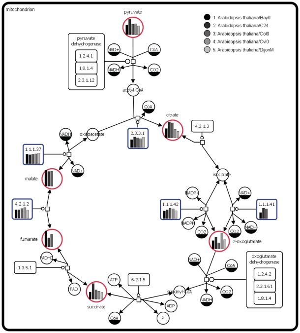 Figure 5.