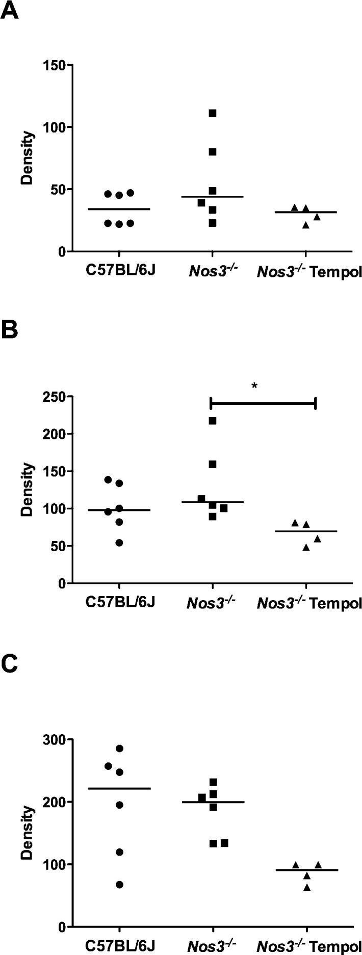 FIG. 6. 