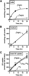 Fig. 6.