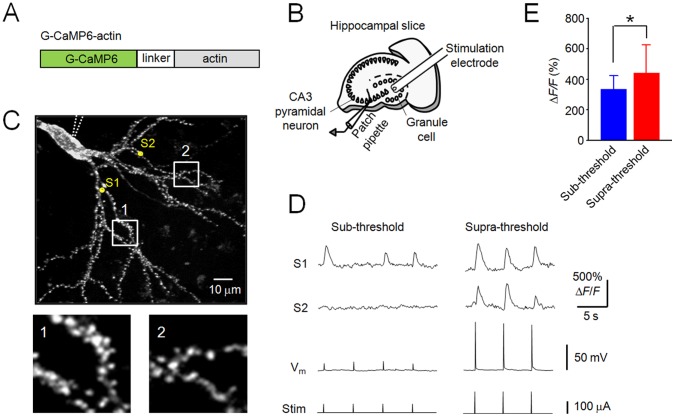 Figure 7