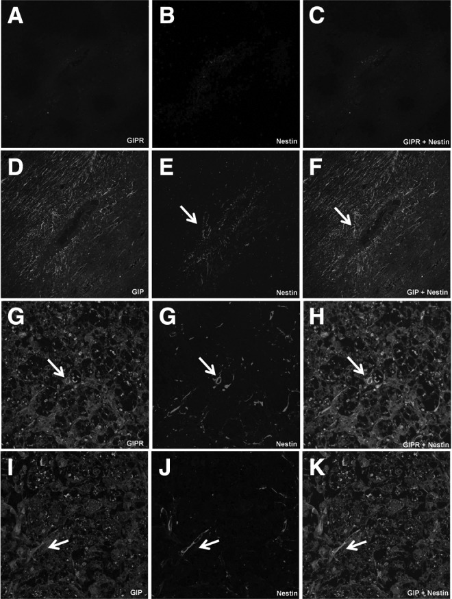 FIG. 9.