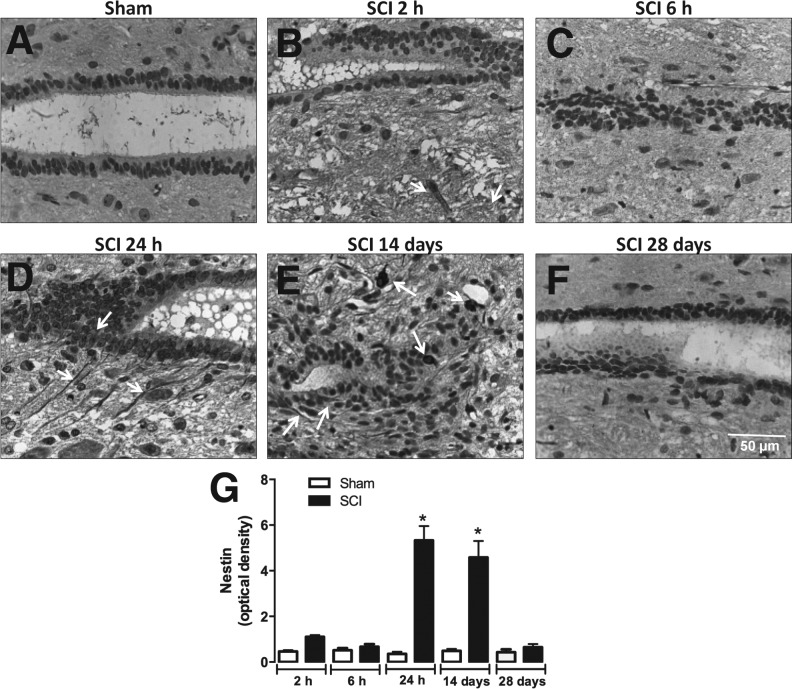 FIG. 7.