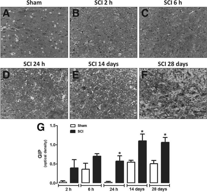 FIG. 6.