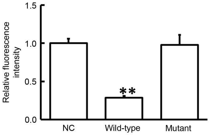 Figure 5.