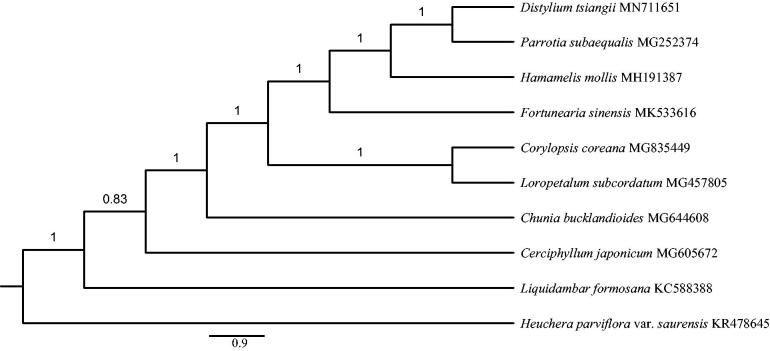 Figure 1.