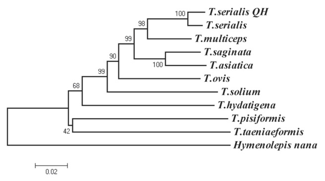 Fig. 2