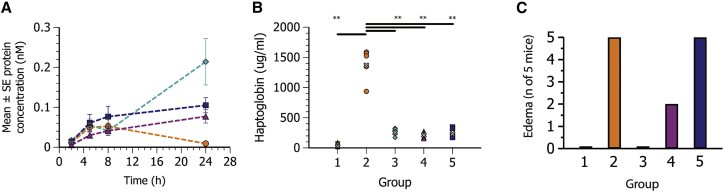 Figure 7