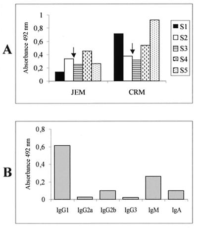 FIG. 3