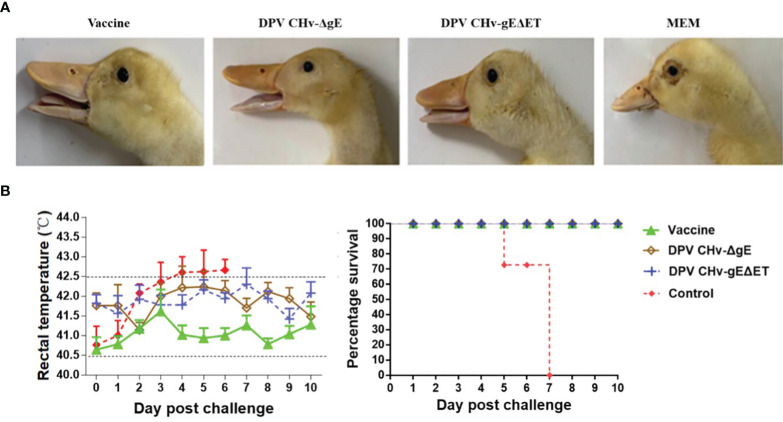 Figure 7