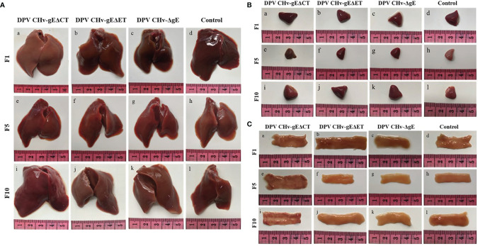 Figure 5