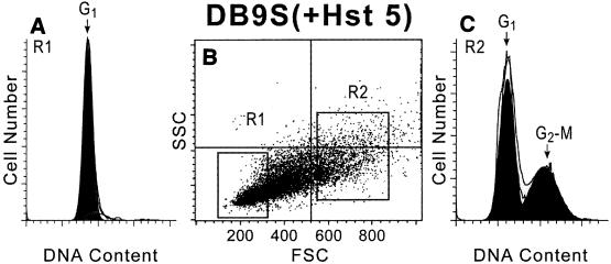 FIG. 5.