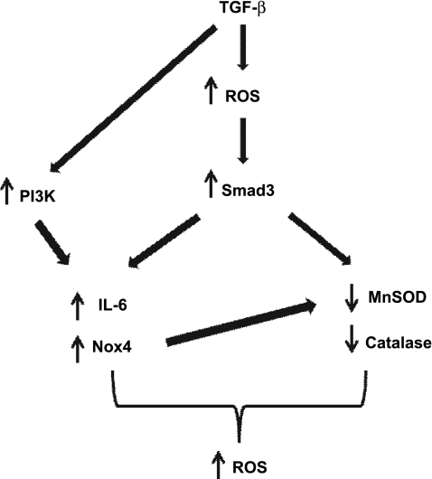 Fig. 8.