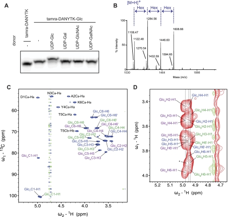 FIGURE 3.