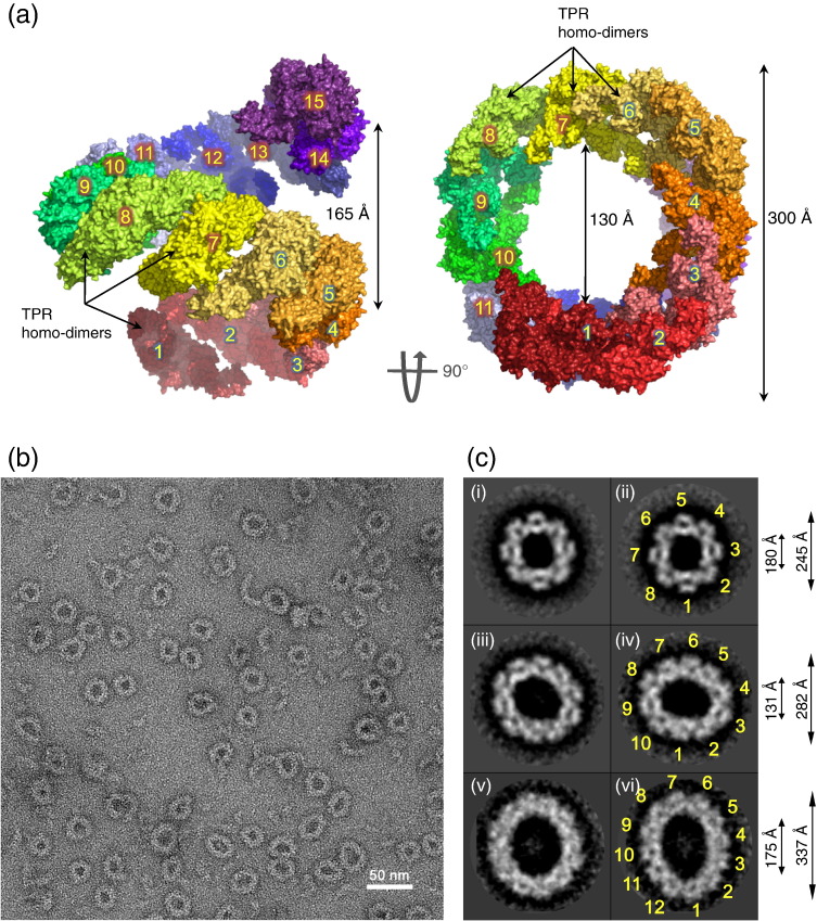 Fig. 6