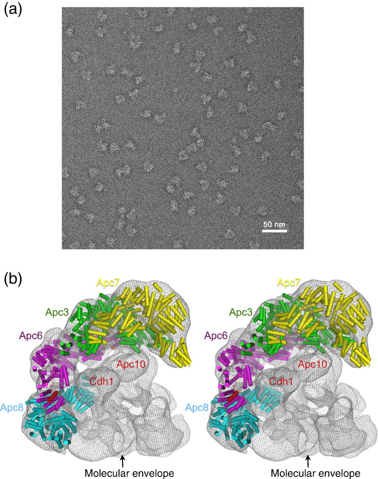 Fig. 4