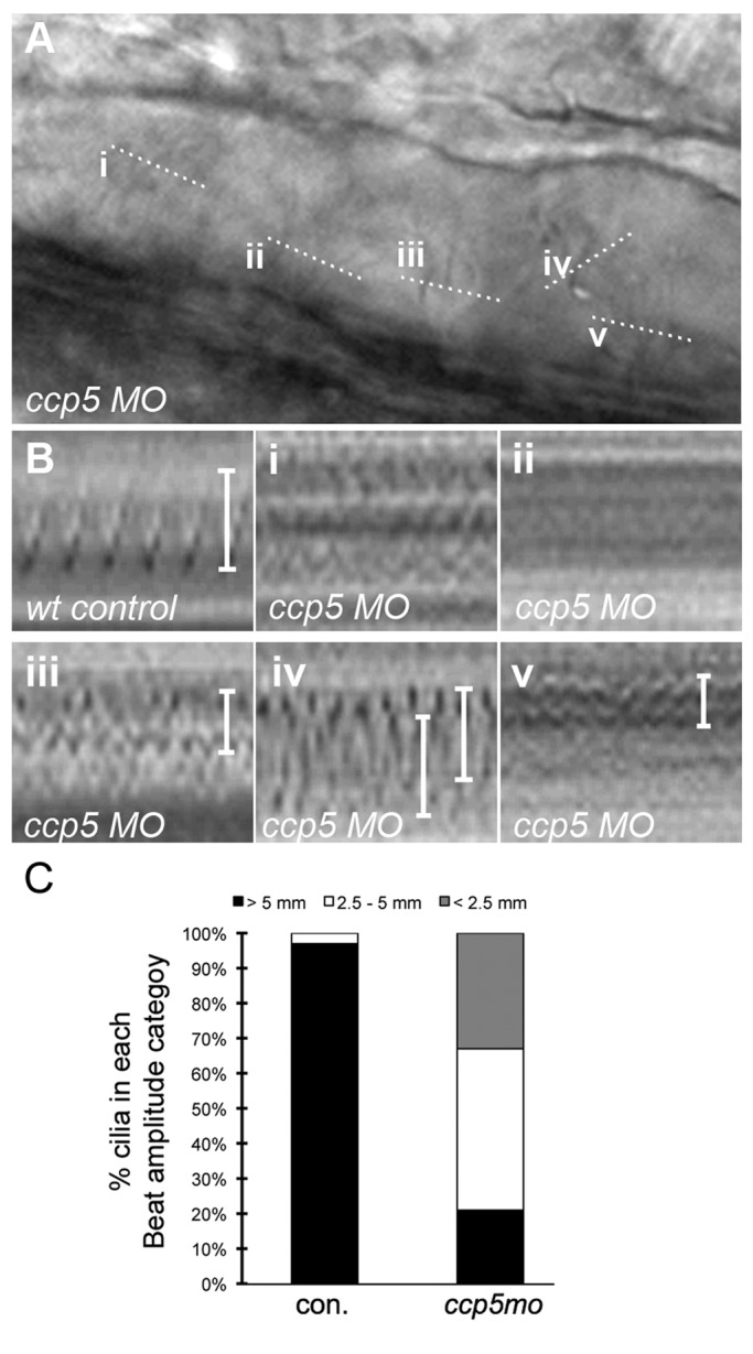 FIGURE 4: