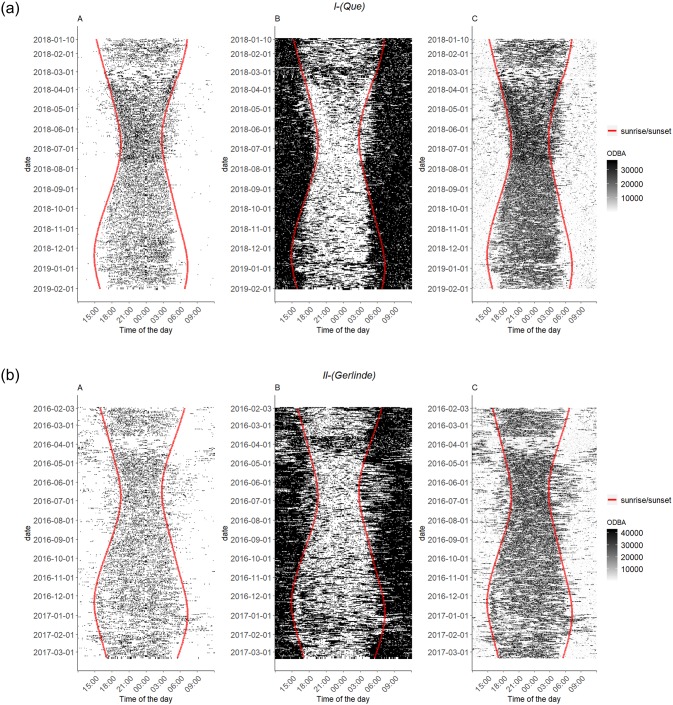 Fig 6