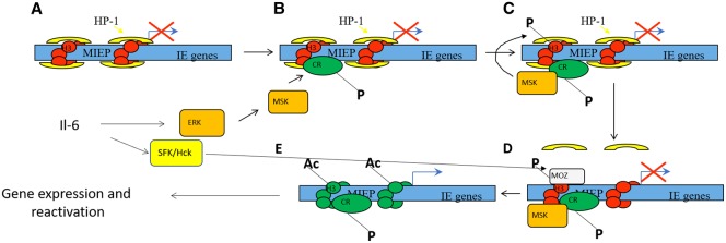 Figure 1.