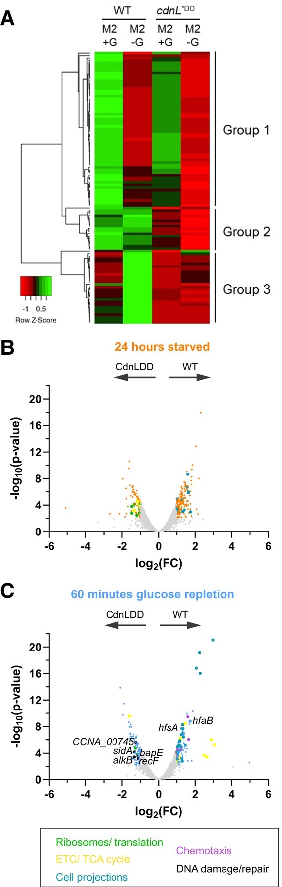 Fig. 3.