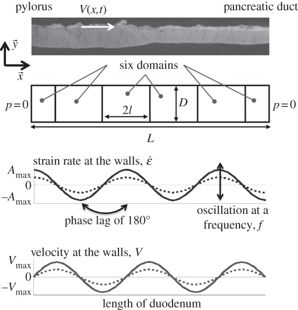 Figure 2.