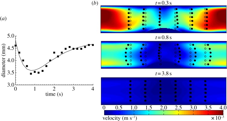 Figure 10.