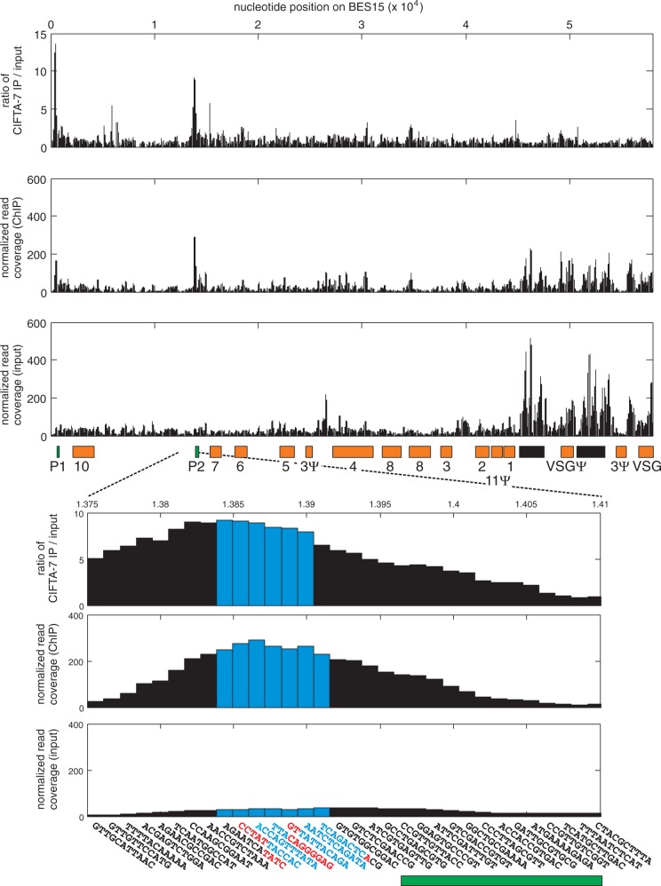 Figure 6.