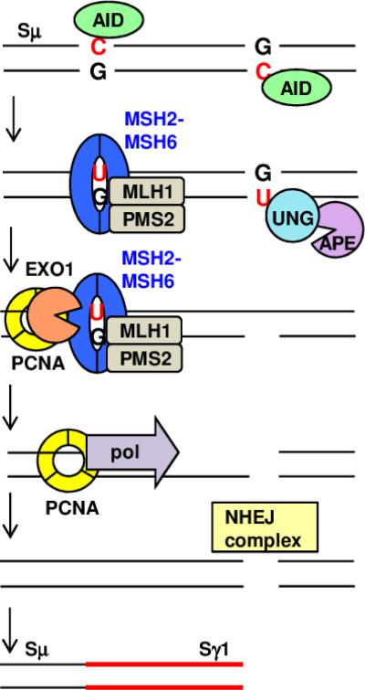 Fig. 2