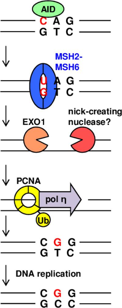 Fig. 1