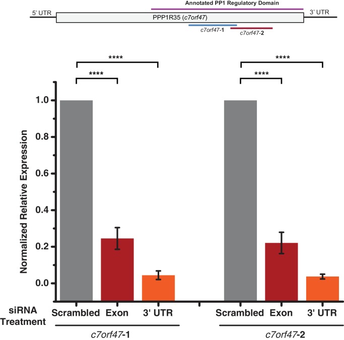 Figure 3—figure supplement 2.