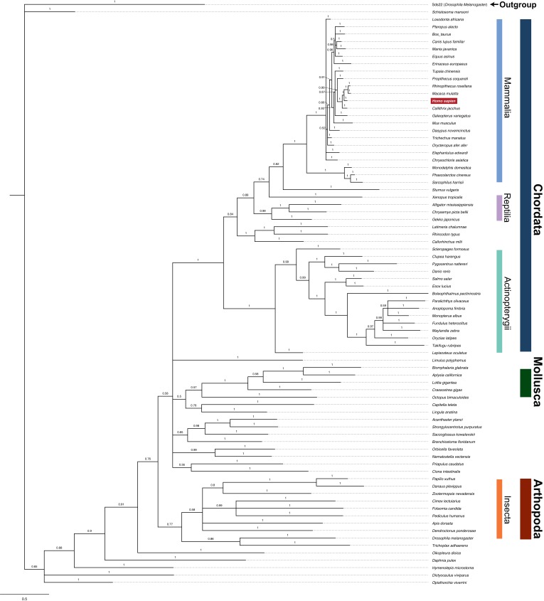 Figure 5—figure supplement 1.