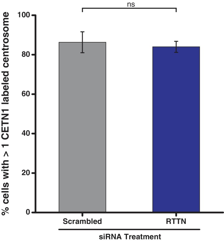 Figure 4—figure supplement 1.