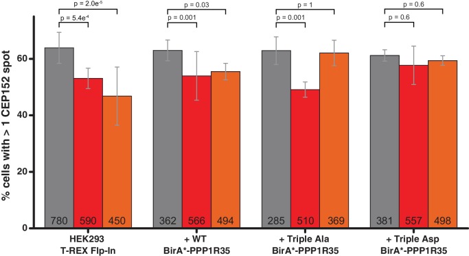 Figure 5—figure supplement 4.