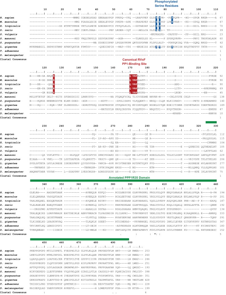 Figure 5—figure supplement 2.