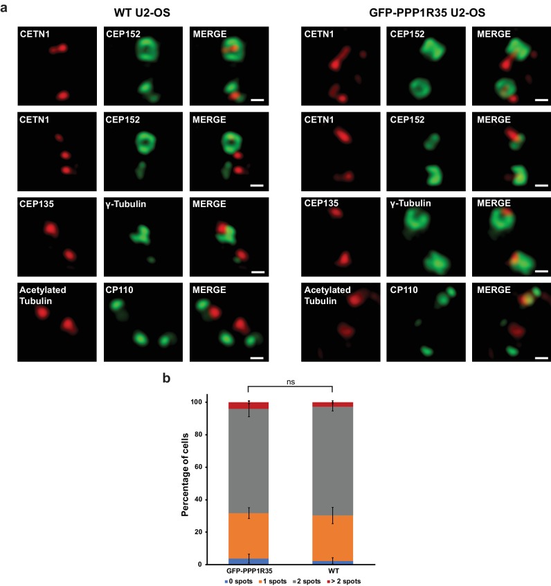 Figure 1—figure supplement 1.