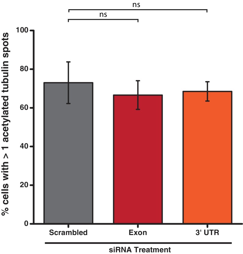 Figure 6—figure supplement 1.