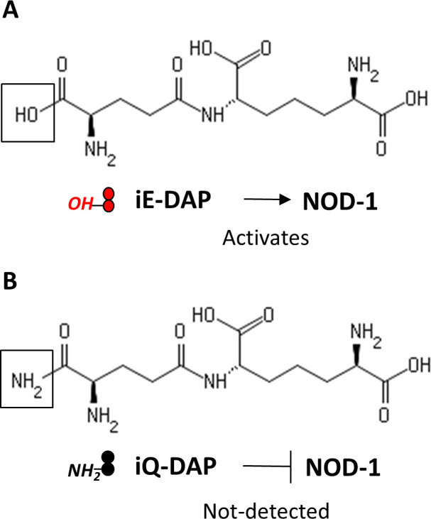 Figure 1—figure supplement 1.