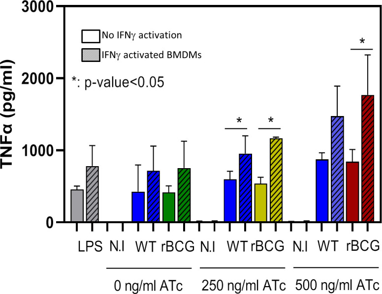 Figure 2—figure supplement 1.